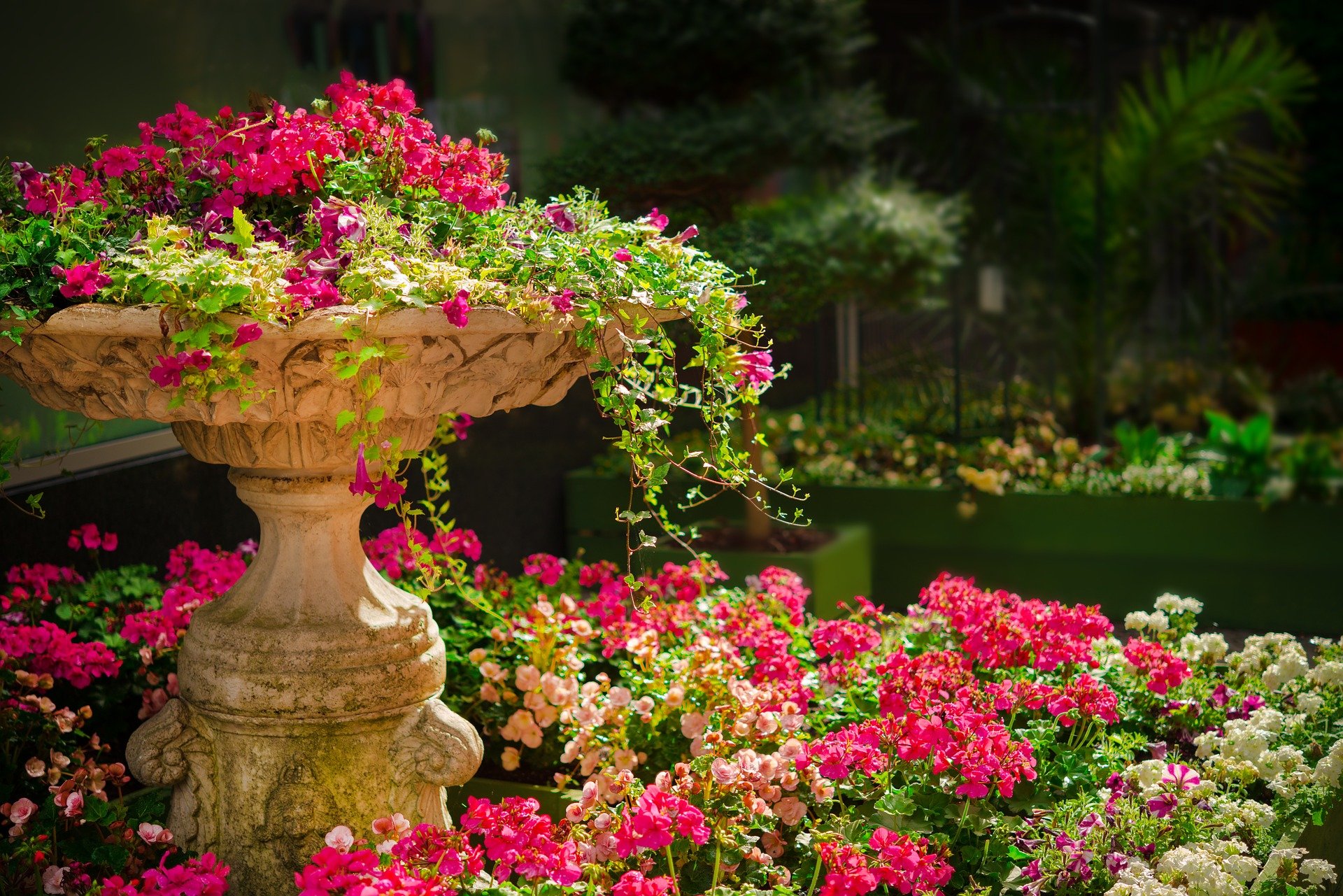 Où acheter tout le nécessaire pour son jardin ?