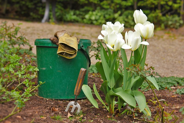 Amenager son jardin : Comment proceder correctement ?